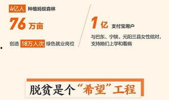 石家庄爆料视频大全,聚焦城市热点，揭秘生活百态  第3张
